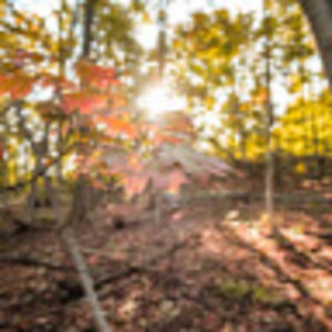 Meet your Posher, Piper